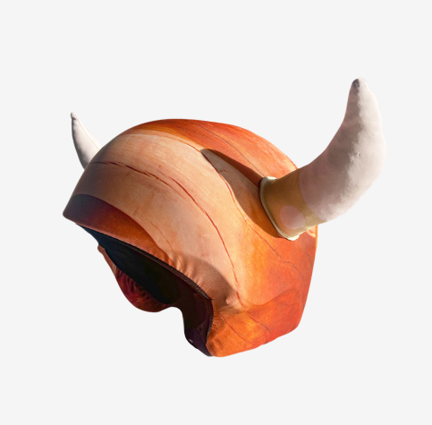 Vikings Rule Youth
