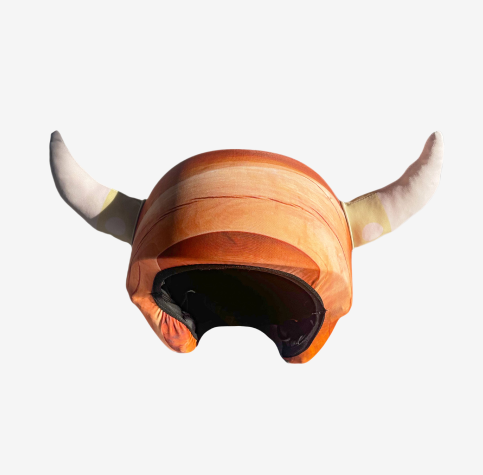 Vikings Rule Youth